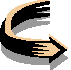 Bitmap Image